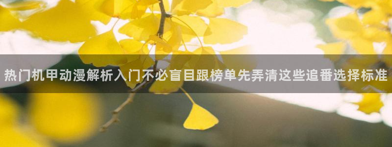 动漫热门榜