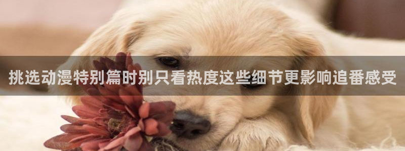 日漫推荐