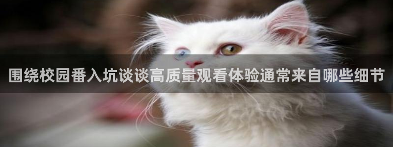 动漫检索