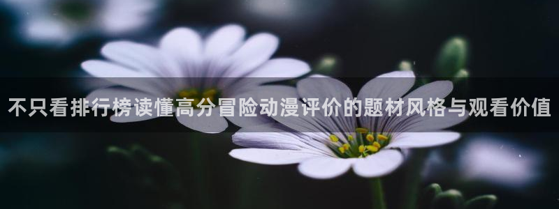 动漫每日更新
