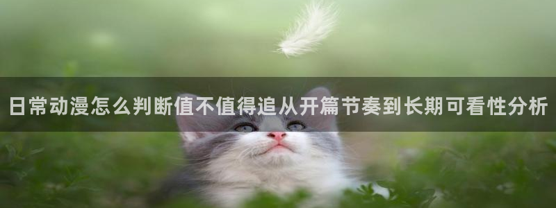 本月新番