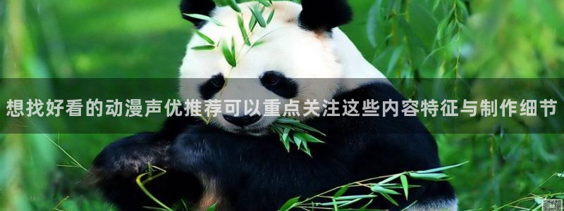 动漫检索