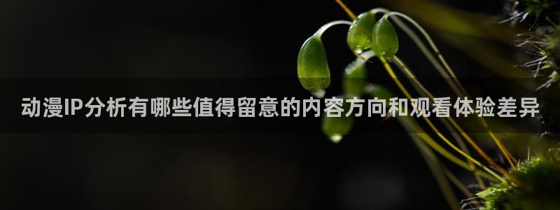 最新新番动漫