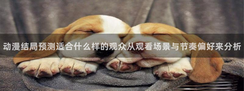 动漫推荐网站