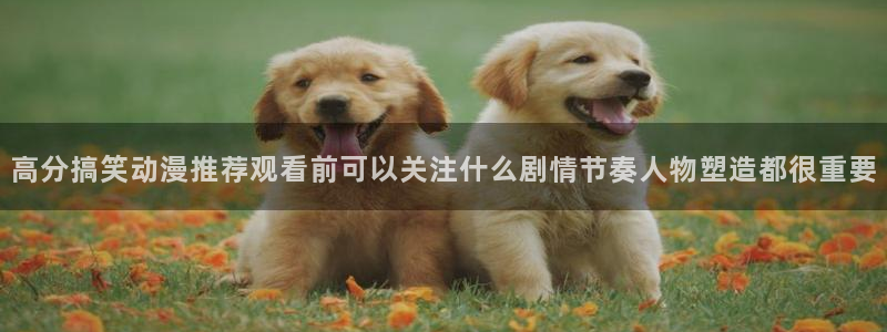 动漫动态