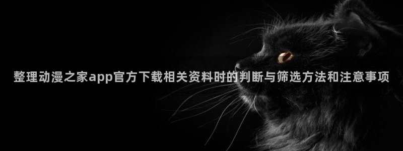动漫作品分类