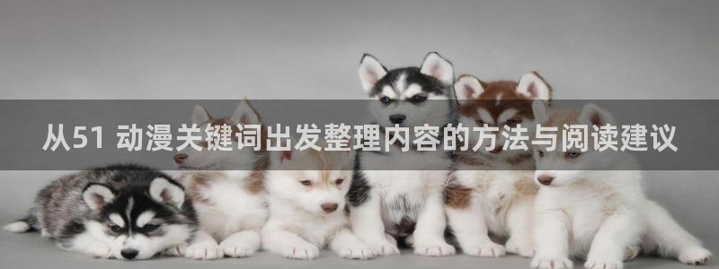 动漫更新列表