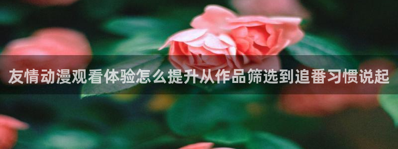 动漫网最新网址