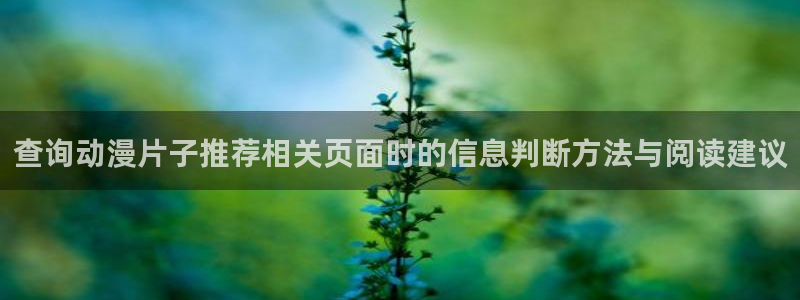 经典动画推荐