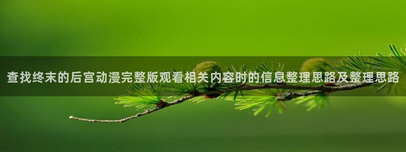 魔法动漫