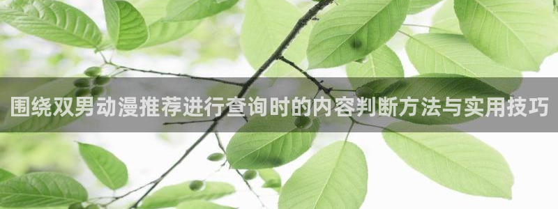 每日动漫