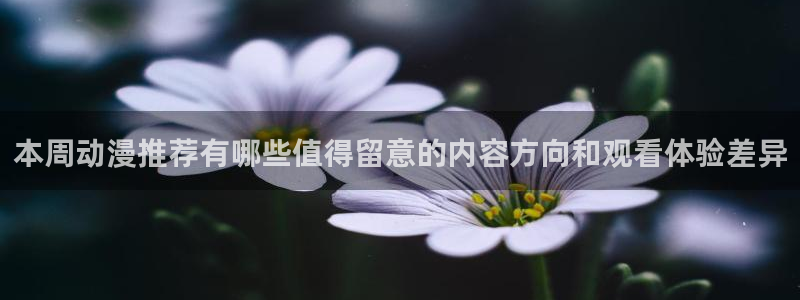 本月新番