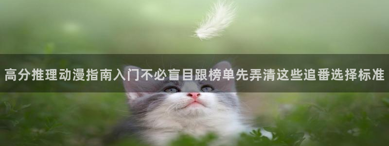 竞技动漫推荐