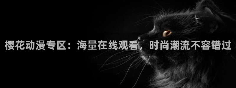 最新动漫大全