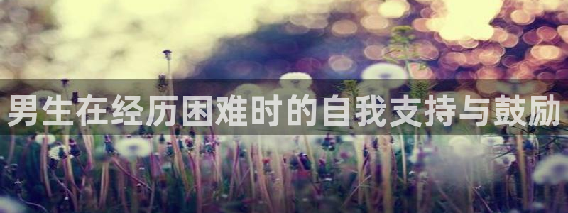 日本动漫网